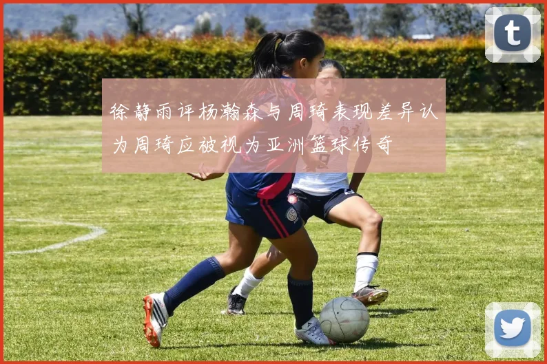 徐静雨评杨瀚森与周琦表现差异认为周琦应被视为亚洲篮球传奇